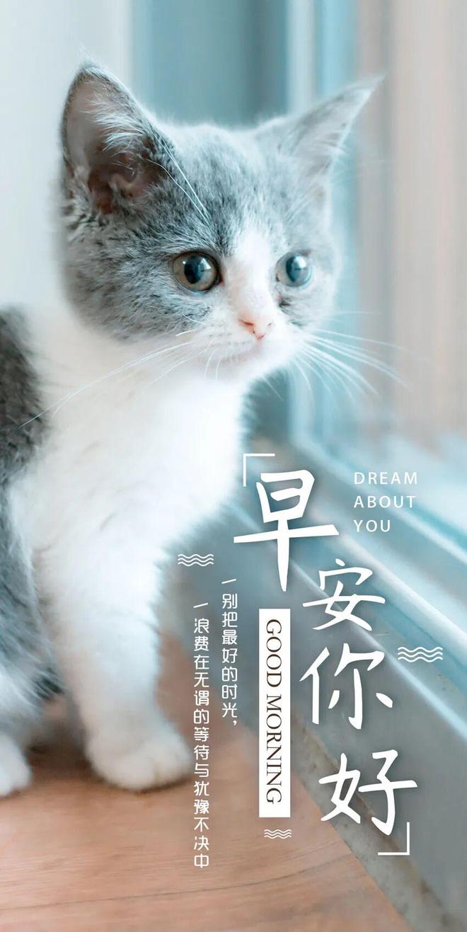 早安正能量励志语录生活就像一杯白开水心态
